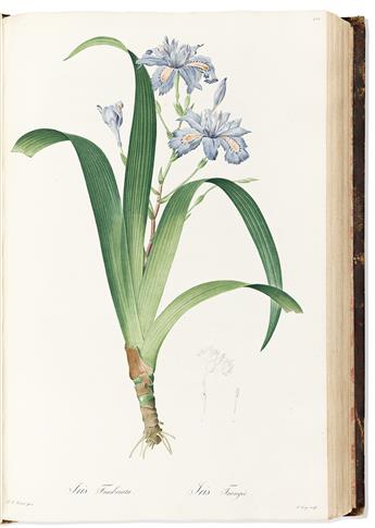 (BOTANICAL.) Pierre-Joseph Redouté. Les Liliacées (volumes 3 and 4).